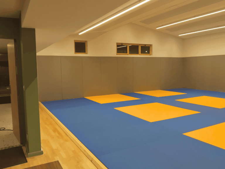 ccg - GYMNASE LA VENTIVE